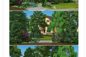 15 project-viz1 (3)